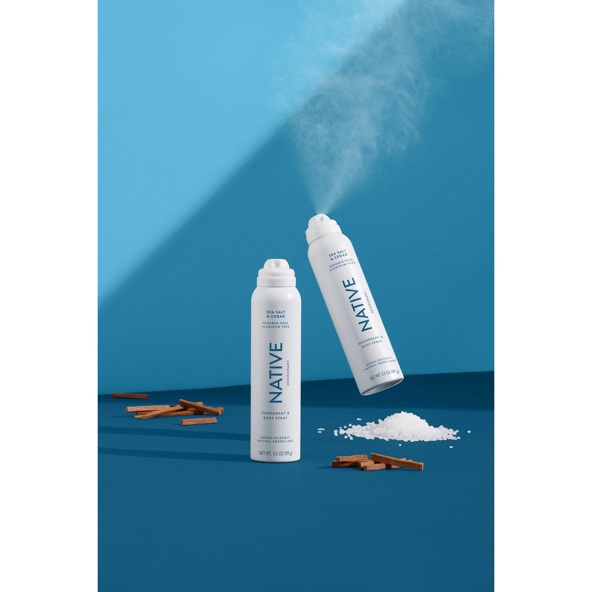 Native Sea Salt & Cedar Deodorant Spray 3.5oz 3.5 oz Shipt