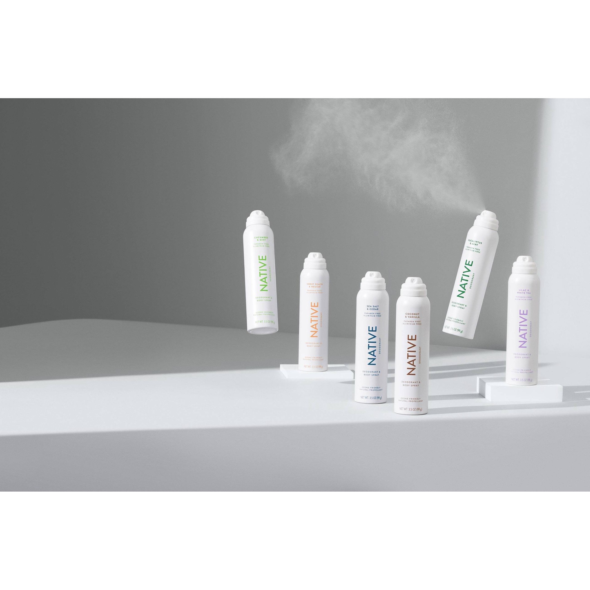 Native Sea Salt & Cedar Deodorant Spray 3.5oz 3.5 oz Shipt