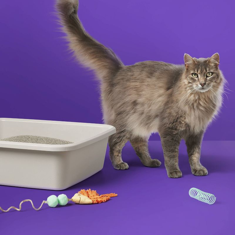 slide 2 of 4, Scented Clumping Cat Litter Bag - 20lbs - up&up™, 20 lb