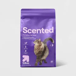 Scented Clumping Cat Litter Bag - 20lbs - up&up™