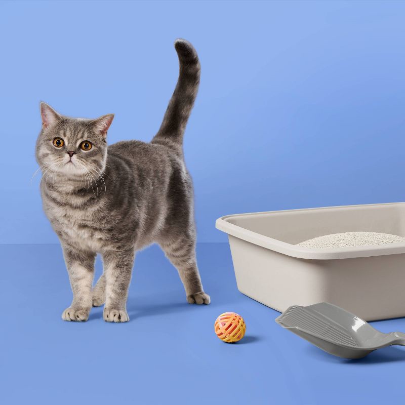 slide 2 of 4, Fragrance Free with Baking Soda Clumping Cat Litter - 35lbs - up&up™, 35 lb