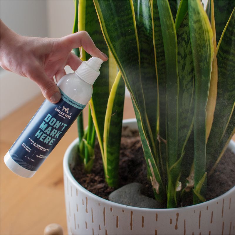 slide 5 of 8, Rocco & Roxie Supply Co. Don't Mark Here Puppy Housebreaking Aid - 8oz, 8 oz