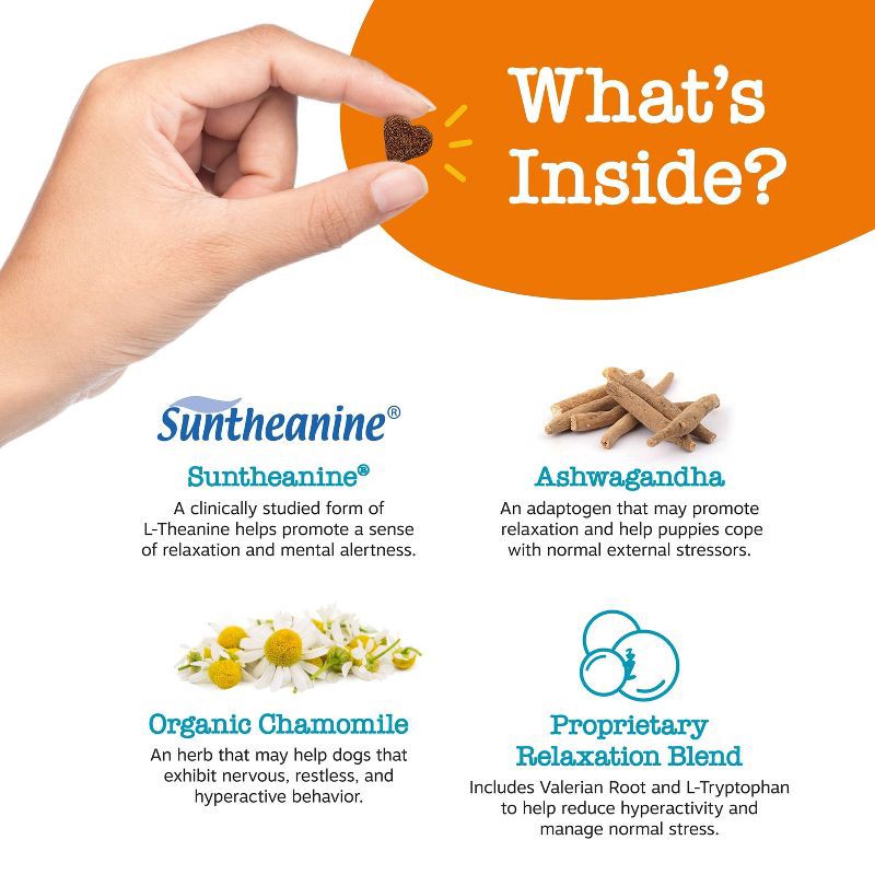 slide 4 of 11, Zesty Paws Puppy Calming Bites for Dog Turkey Flavor - 60ct, 60 ct