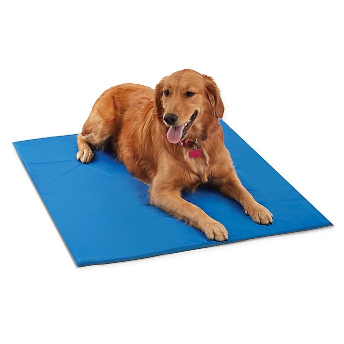 slide 1 of 1, Pawslife Medium Cool Pet Pad - Blue, 1 ct