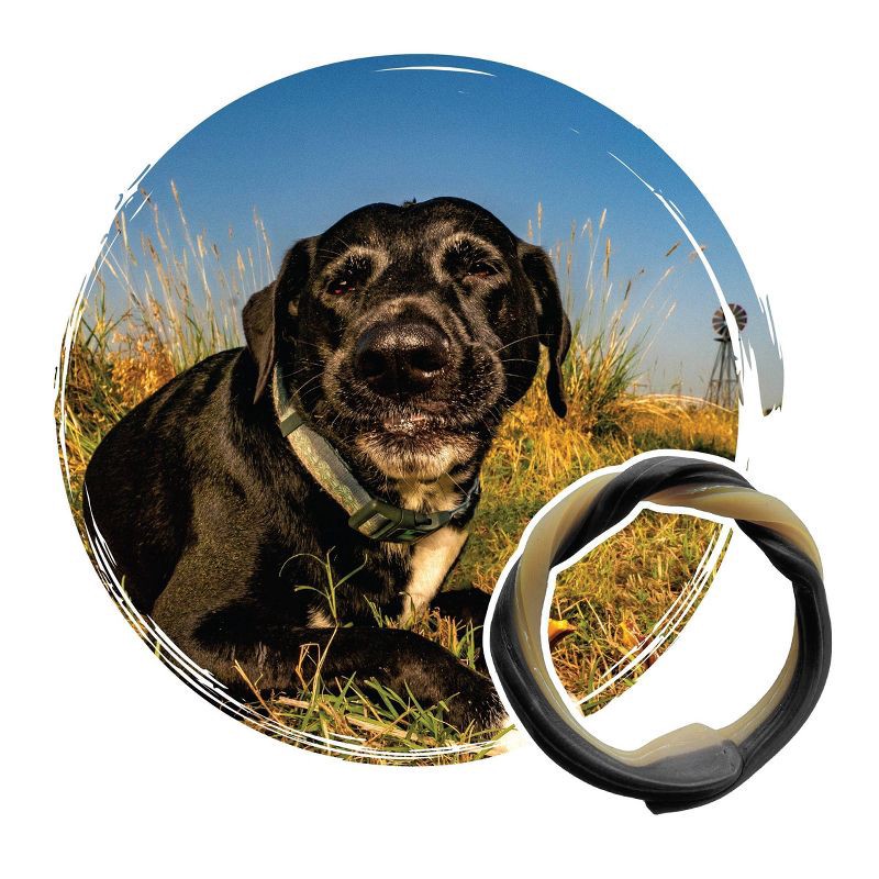 slide 3 of 3, N-Bone Adult Dental Rings Dog Treat with Chicken Flavor - 14oz/10ct, 14 oz, 10 ct