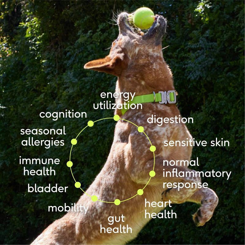 slide 3 of 7, Native Pet The Daily Supplement with Goat's Milk for Dogs - 7oz, 7 oz