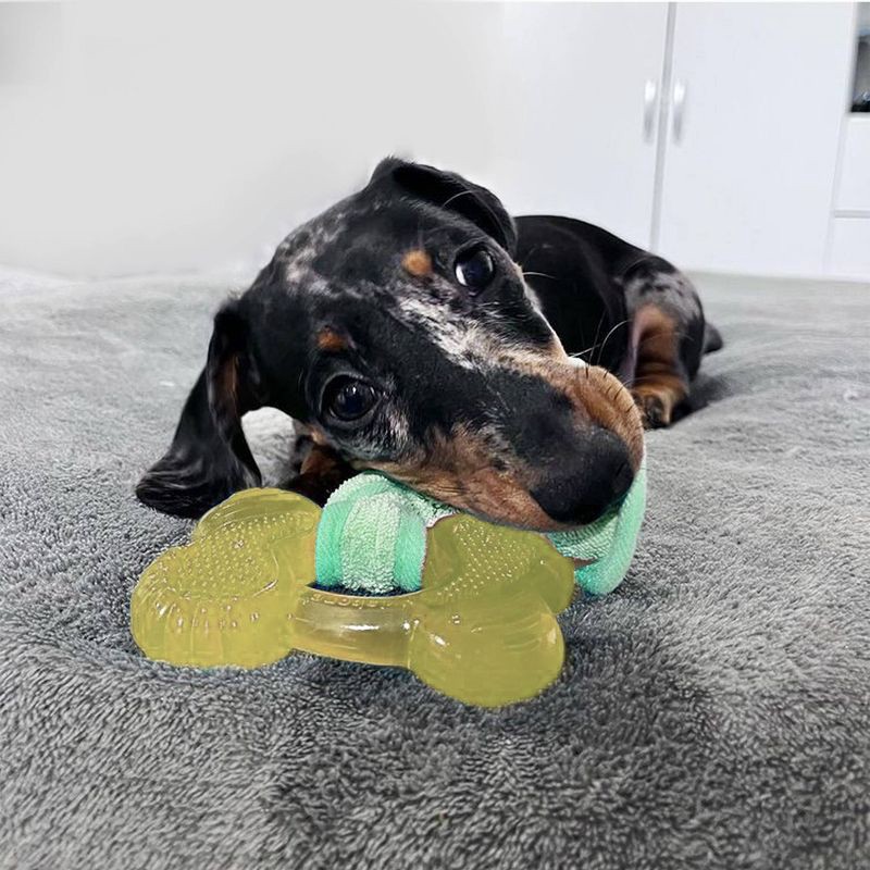 slide 4 of 4, Nylabone Puppy Chew Freezer Bone Toy - Bacon, 1 ct