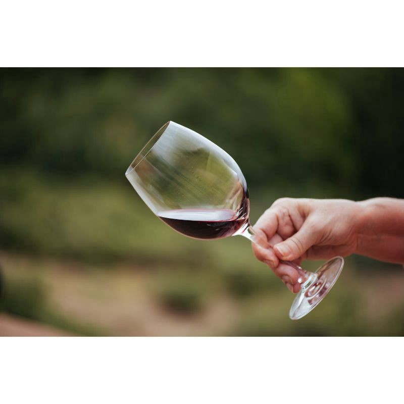 slide 2 of 6, Campo Viejo Rioja Reserva, 750 ml