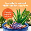 slide 2 of 13, Miracle-Gro Succulent Plant Food, 8 fl oz