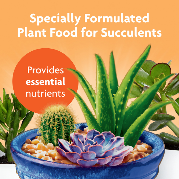 slide 4 of 13, Miracle-Gro Succulent Plant Food, 8 fl oz