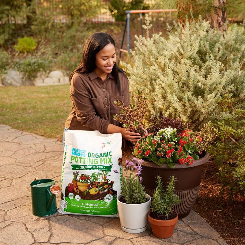 slide 2 of 14, Back to the Roots 25.7qt Organic Potting Mix Premium Blend All Purpose: Soil for Flowers & House Plants, Peat-Free, 25.7 qt