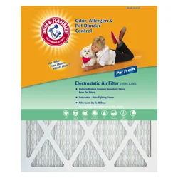 ARM & HAMMER Air Filter 1 ea