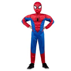 Kids' Marvel Spider-Man Muscle Chest Halloween Costume Jumpsuit with Mask S