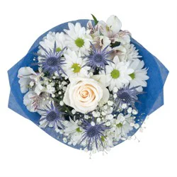 DIERBERGS FLOWERS & GIFTS SNOWY NIGHTS BOUQUET
