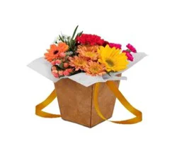 DIERBERGS FLOWERS & GIFTS SPLASH OF PETALS ARRANGEMENT
