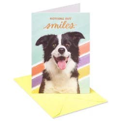'Nothing But Smiles' Birthday Card: Carlton Cards, Dogs, Multicolored, Vertical Fold, Birthday, Kids, Him, Her, Girl