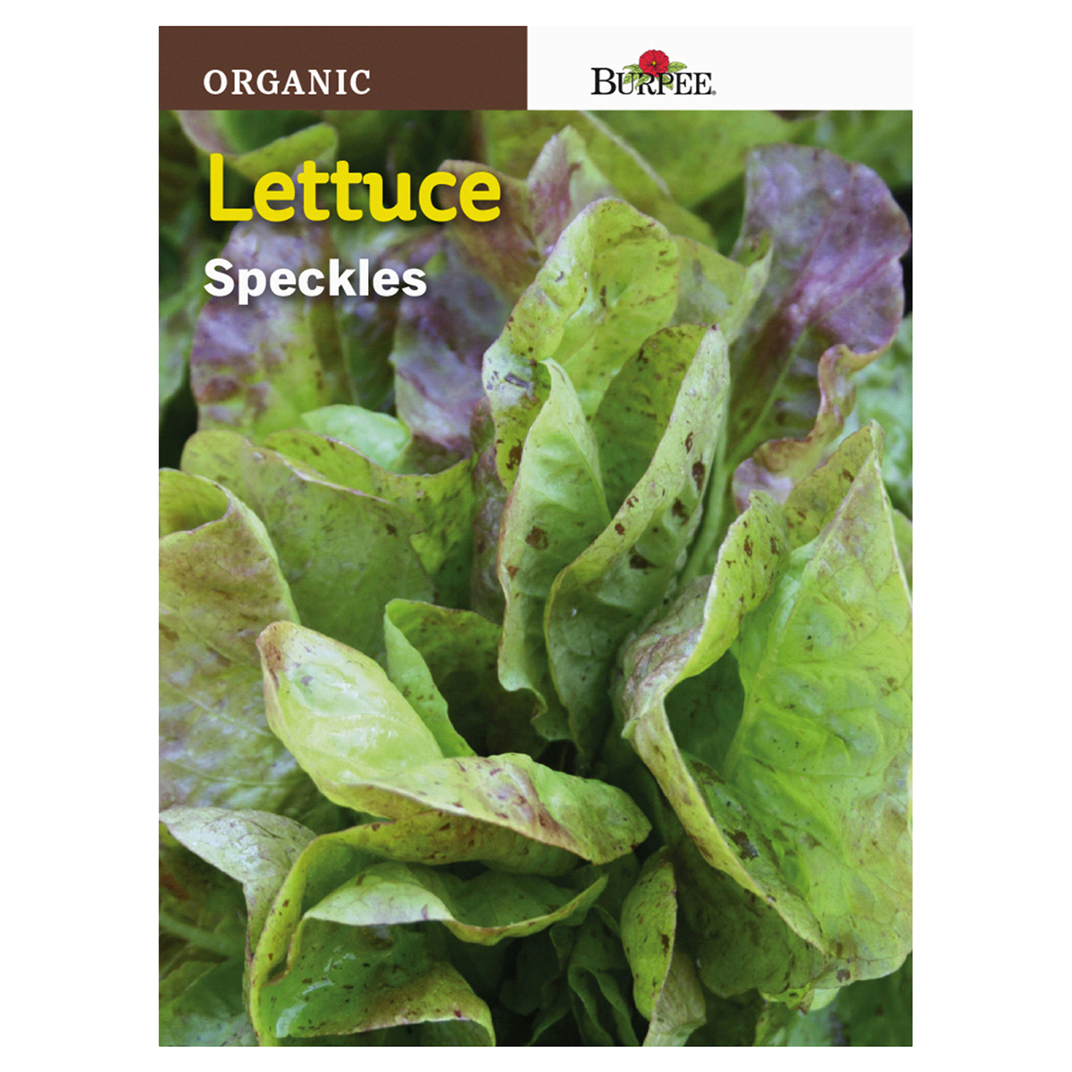 slide 1 of 1, Burpee Lettuce, Freckles, 1 ct