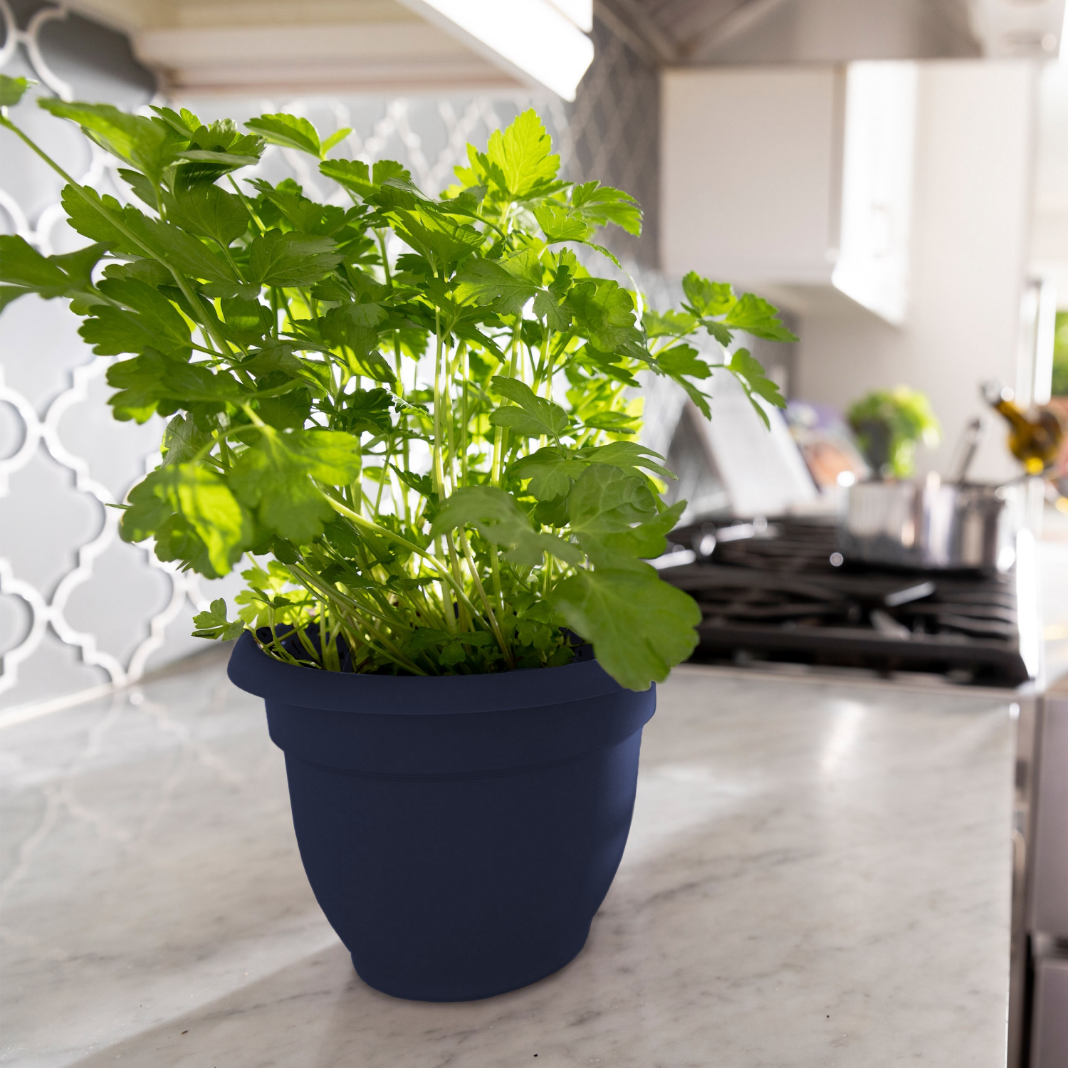 slide 2 of 2, Bloem Ariana 6 Inch Navy Planter, 1 ct