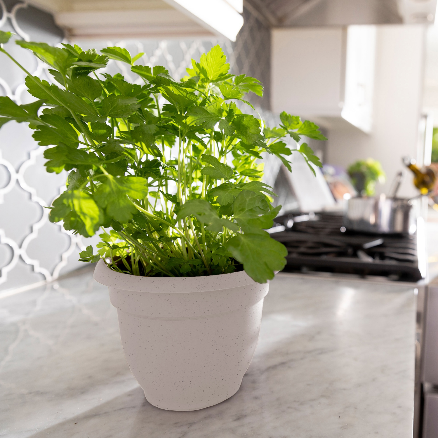 slide 2 of 2, Bloem Ariana 6 Inch Vanilla Bean Planter, 1 ct