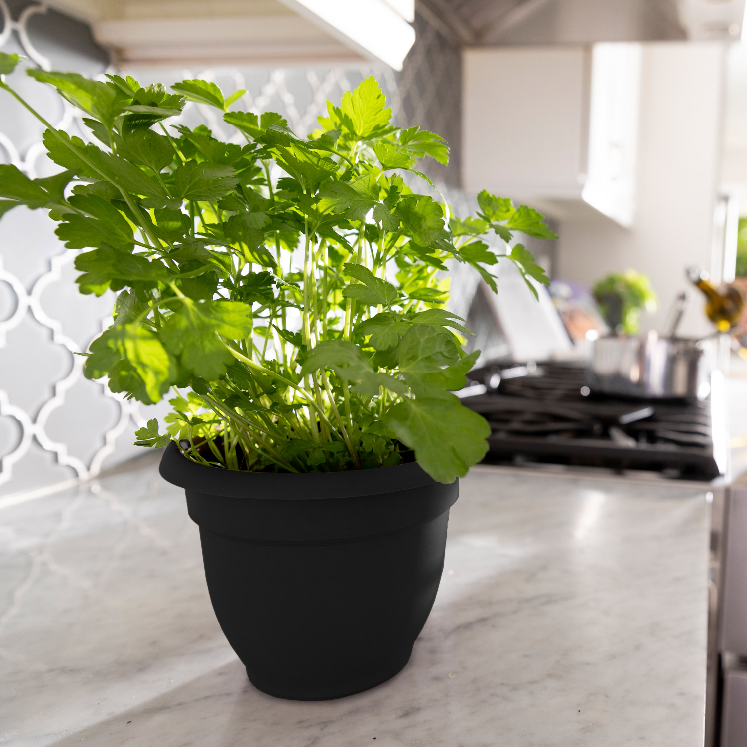 slide 2 of 2, Bloem Ariana Black Planter 8In, 8 in