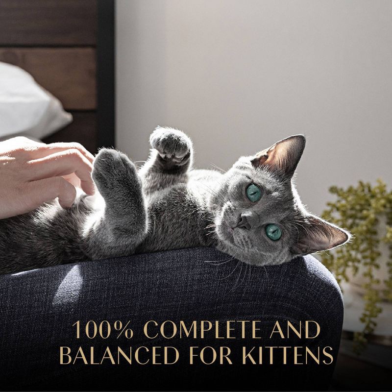 slide 7 of 14, Sheba Perfect Portions Salmon, Chicken and Seafood Flavor Soft Pate Kitten Wet Cat Food - 31.7oz/12ct, 31.7 oz, 12 ct