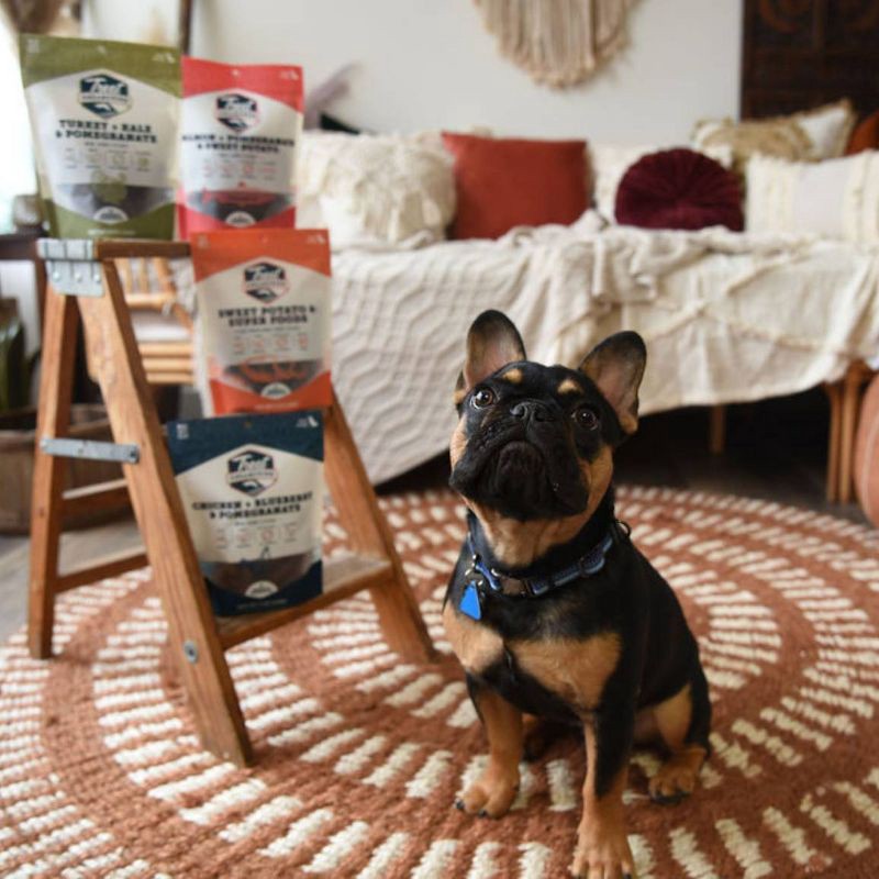 slide 5 of 5, Treat Collective Salmon, Pomegranate and Sweet Potato Jerky Dog Treat - 5oz, 5 oz