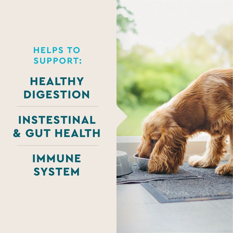 slide 3 of 8, VetIQ Probiotic Support Dog Supplements - Smoke - 60ct, 60 ct