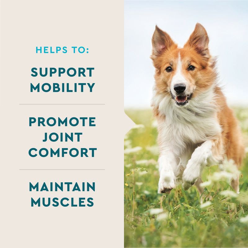 slide 3 of 8, VetIQ Hip and Joint Dog Supplements - Smoke Chicken Flavor - 60ct, 60 ct