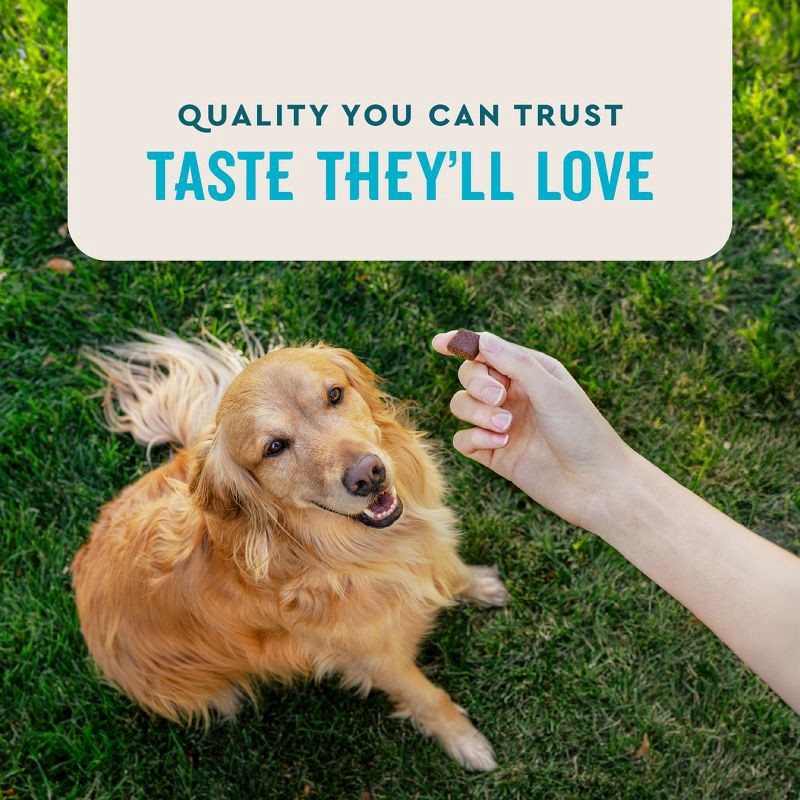 slide 6 of 8, VetIQ Hip and Joint Dog Supplements - Smoke Chicken Flavor - 60ct, 60 ct