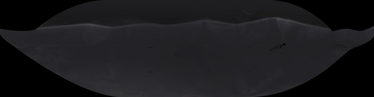 slide 6 of 6, Harris Teeter Fishermans Market EZ Raw Shrimp - 51-60, 32 oz