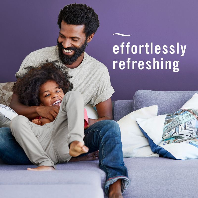 slide 9 of 15, Febreze Touch Fabric Spray Air Freshener - Mountain - 27 fl oz, 27 fl oz