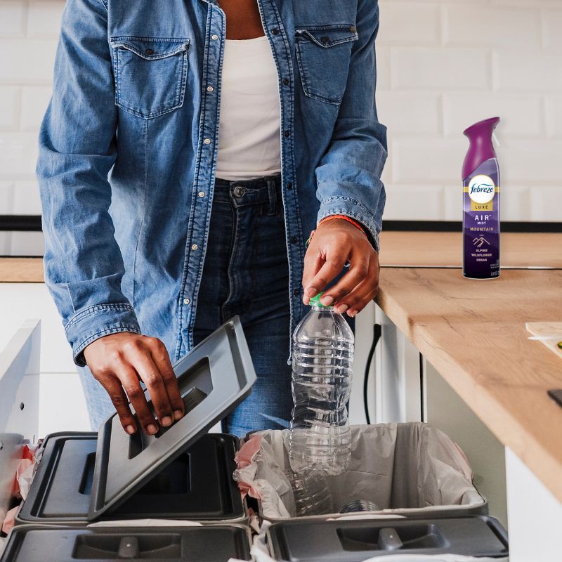 slide 2 of 12, Febreze Air Effects Air Freshener - Mountain - 8.8oz, 8.8 oz