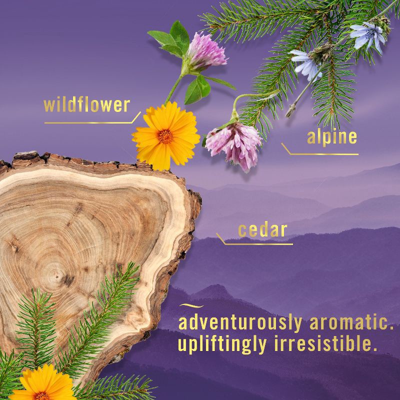 slide 4 of 12, Febreze Air Effects Air Freshener - Mountain - 8.8oz, 8.8 oz