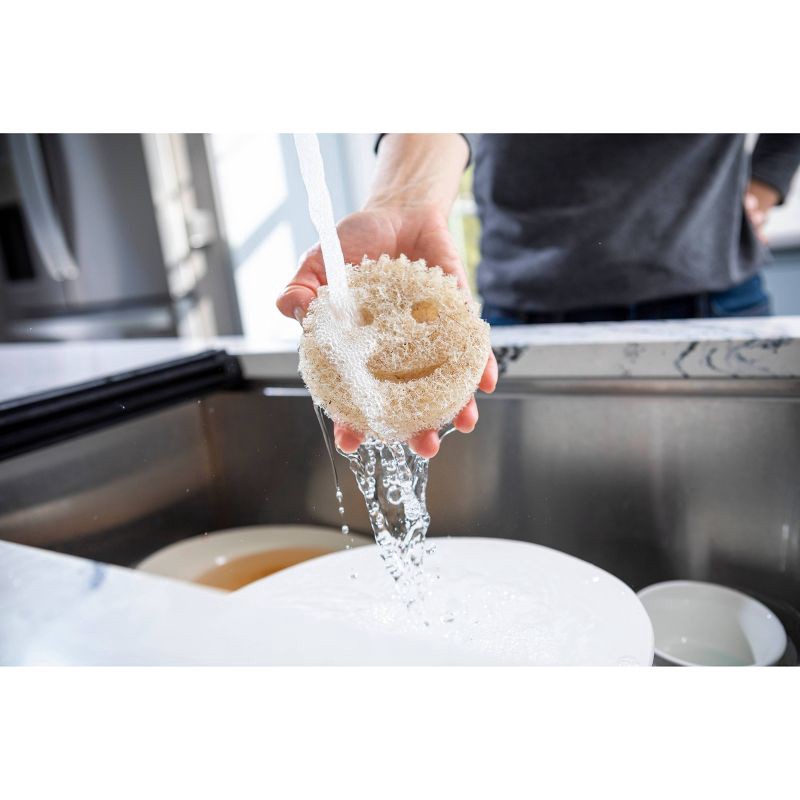 slide 2 of 13, Scrub Daddy Coco Mesh Scrubber - 2ct, 2 ct