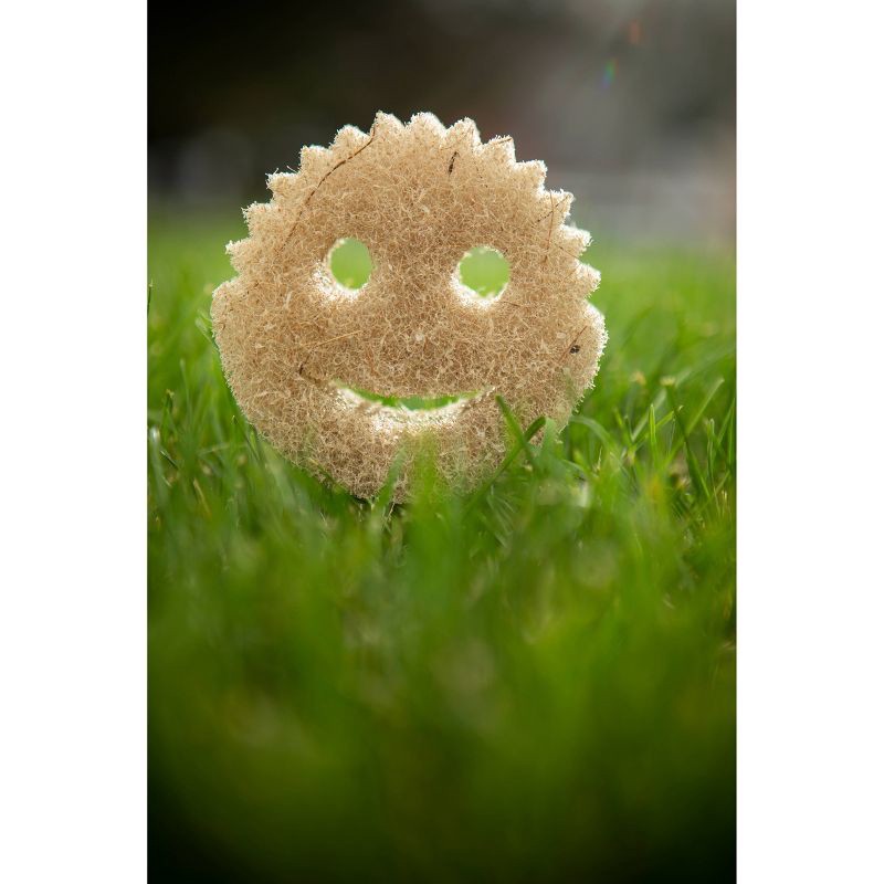 slide 6 of 13, Scrub Daddy Coco Mesh Scrubber - 2ct, 2 ct