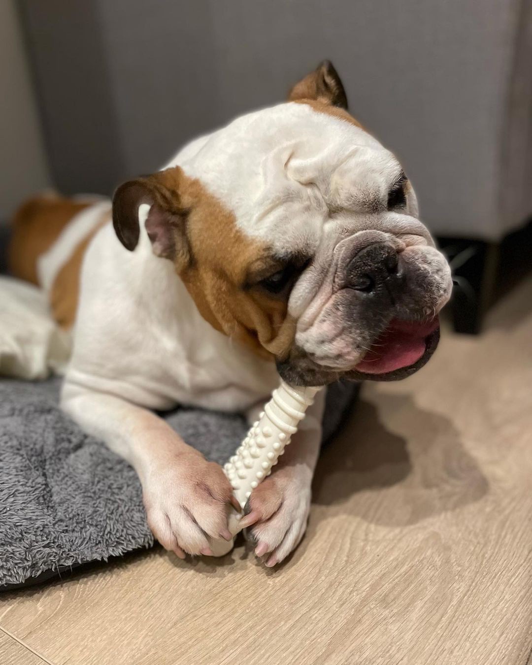 slide 8 of 10, Nylabone Power Chew Dog Toy Chicken X-Large/Souper - 50+ lbs.(1 Count), 1 ct