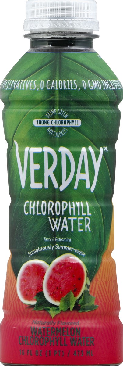 slide 1 of 4, Verday Chlorophyll Water 16 oz, 16 oz