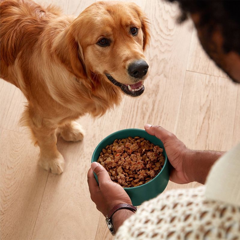 slide 6 of 9, Jinx Pate Beef, Sweet Potato and Carrot Flavor Wet Dog Food - 13oz, 13 oz
