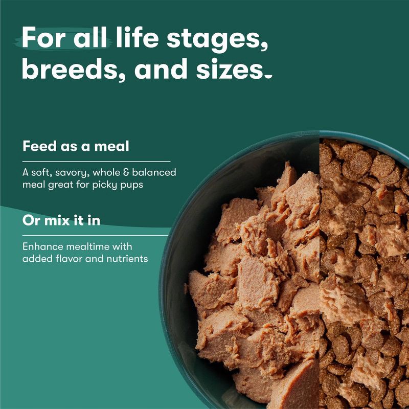 slide 7 of 9, Jinx Pate Beef, Sweet Potato and Carrot Flavor Wet Dog Food - 13oz, 13 oz