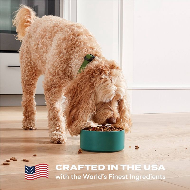 slide 5 of 9, Jinx Pate Chicken, Sweet Potato and Carrot Wet Dog Food - 13oz, 13 oz