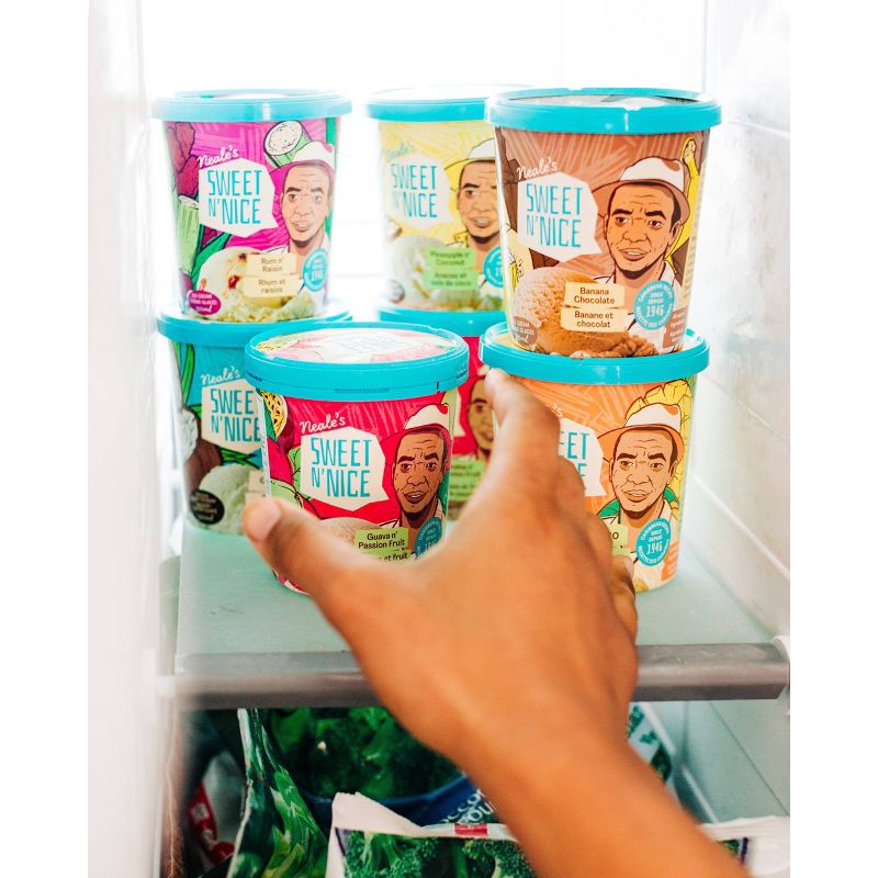 slide 4 of 4, Neale's Sweet N Nice Ice Cream Neale's Sweet N Nice Frozen Ice Cream Rum n' Raisin - 16 fl oz, 16 fl oz