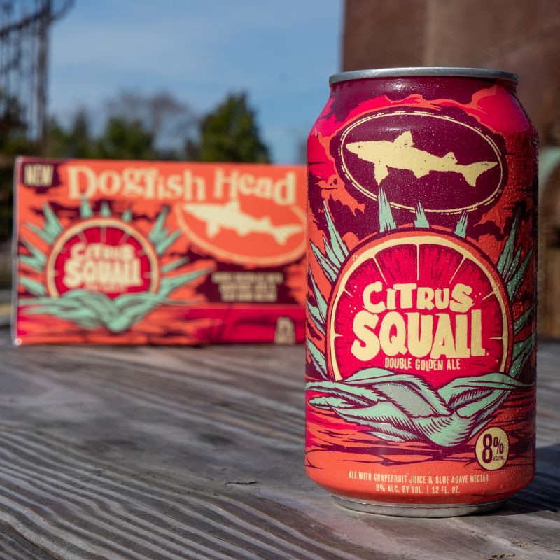 slide 7 of 9, Dogfish Head Citrus Squall - 6pk/12 fl oz Cans, 6 ct; 12 fl oz