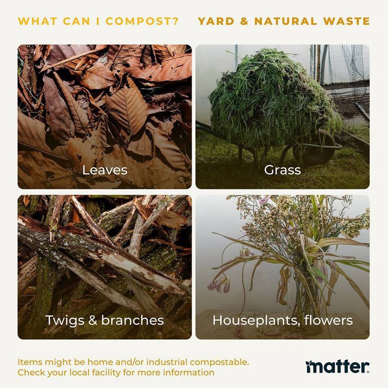 slide 11 of 12, Matter Compostable Hot Disposable Cup with Lid - 12oz/10ct, 10 ct; 12 oz