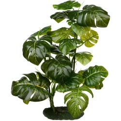 Imagitarium Stand Araceae Plant Terrarium Decor