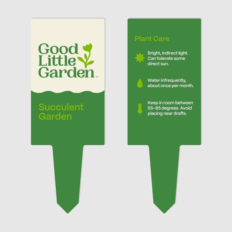 slide 8 of 8, Live 6" Succulent Garden Houseplant (Varieties May Vary) - Good Little Garden™, 1 ct
