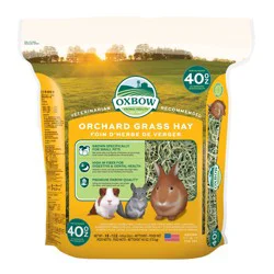 Oxbow Orchard Grass Hay