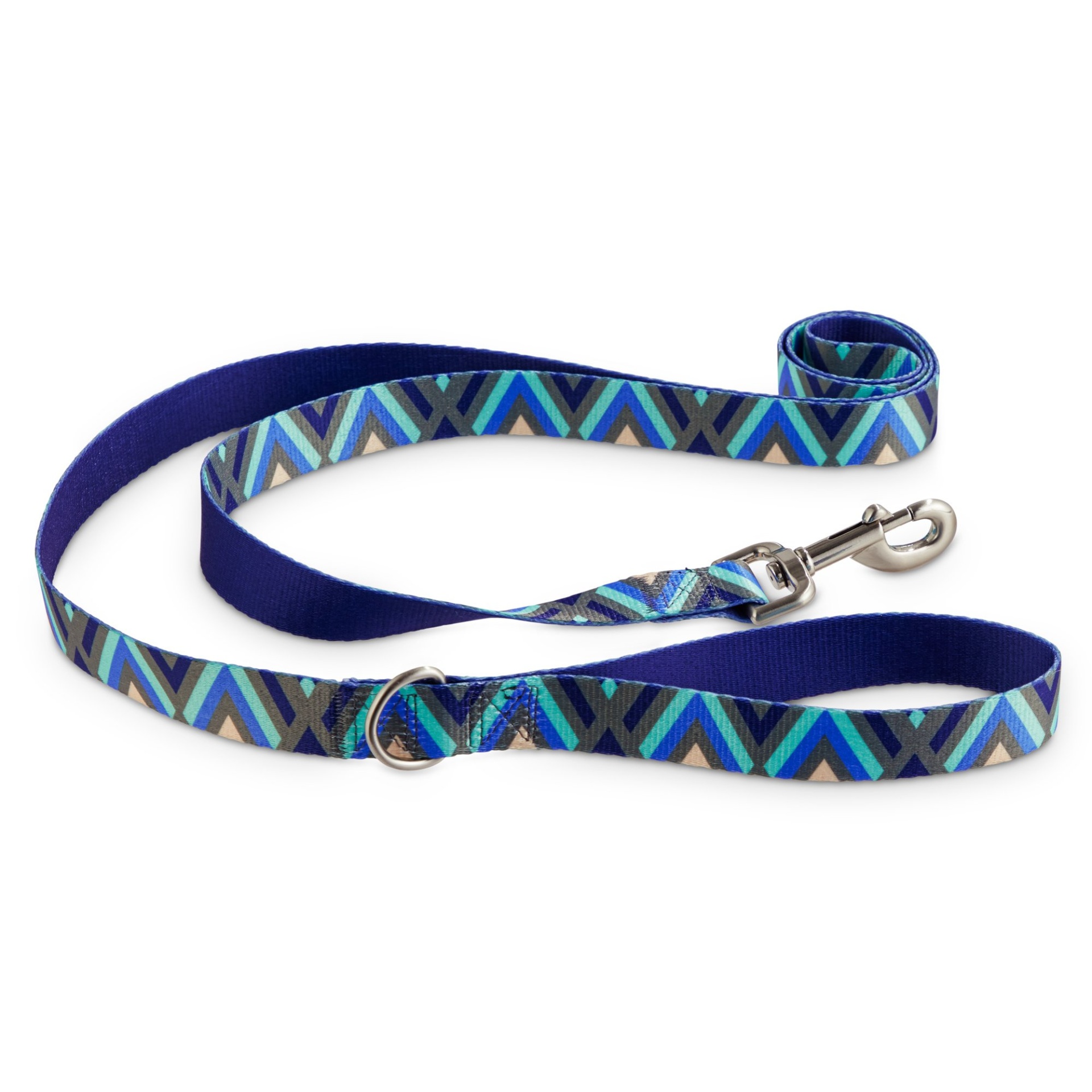 slide 1 of 1, Good2Go Blue Chevron Dog Leash in Blue, 1 ct