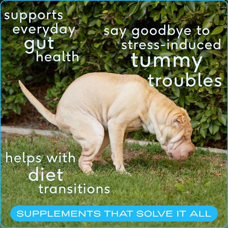 slide 3 of 7, Native Pet Probiotic Supplement Powder with Bone Broth for Dogs - 4.1oz, 4.1 oz