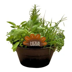 Spring Creek Growers Herb Garden