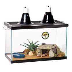 Zilla Desert Reptile Terrarium Starter Kit 10 Gallon